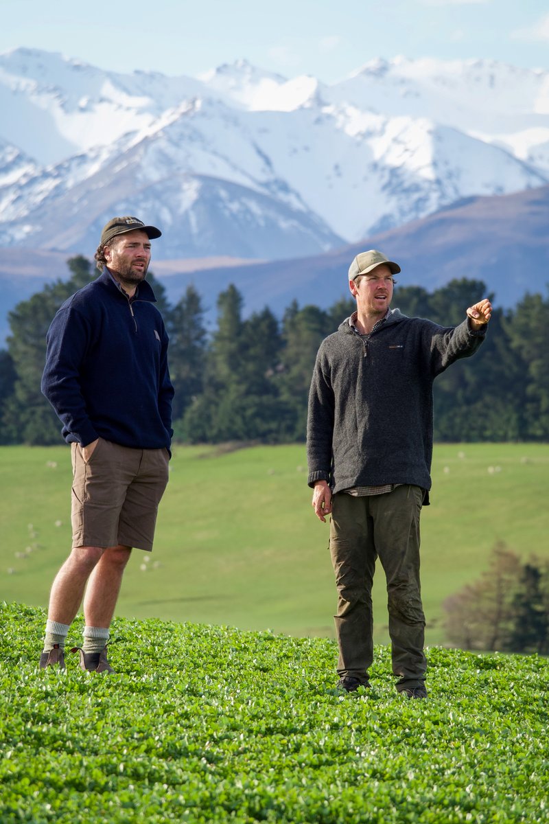 Farm Consultants